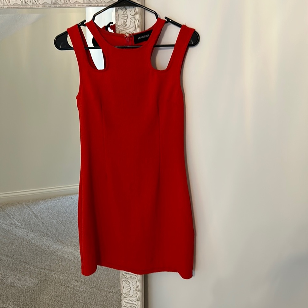 Mink pink dress